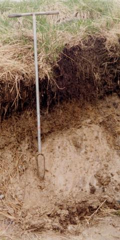 soil_profile.jpg